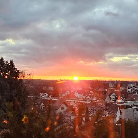 Appartement An Der Weinstrasse Bad Bergzabern Eksteriør billede