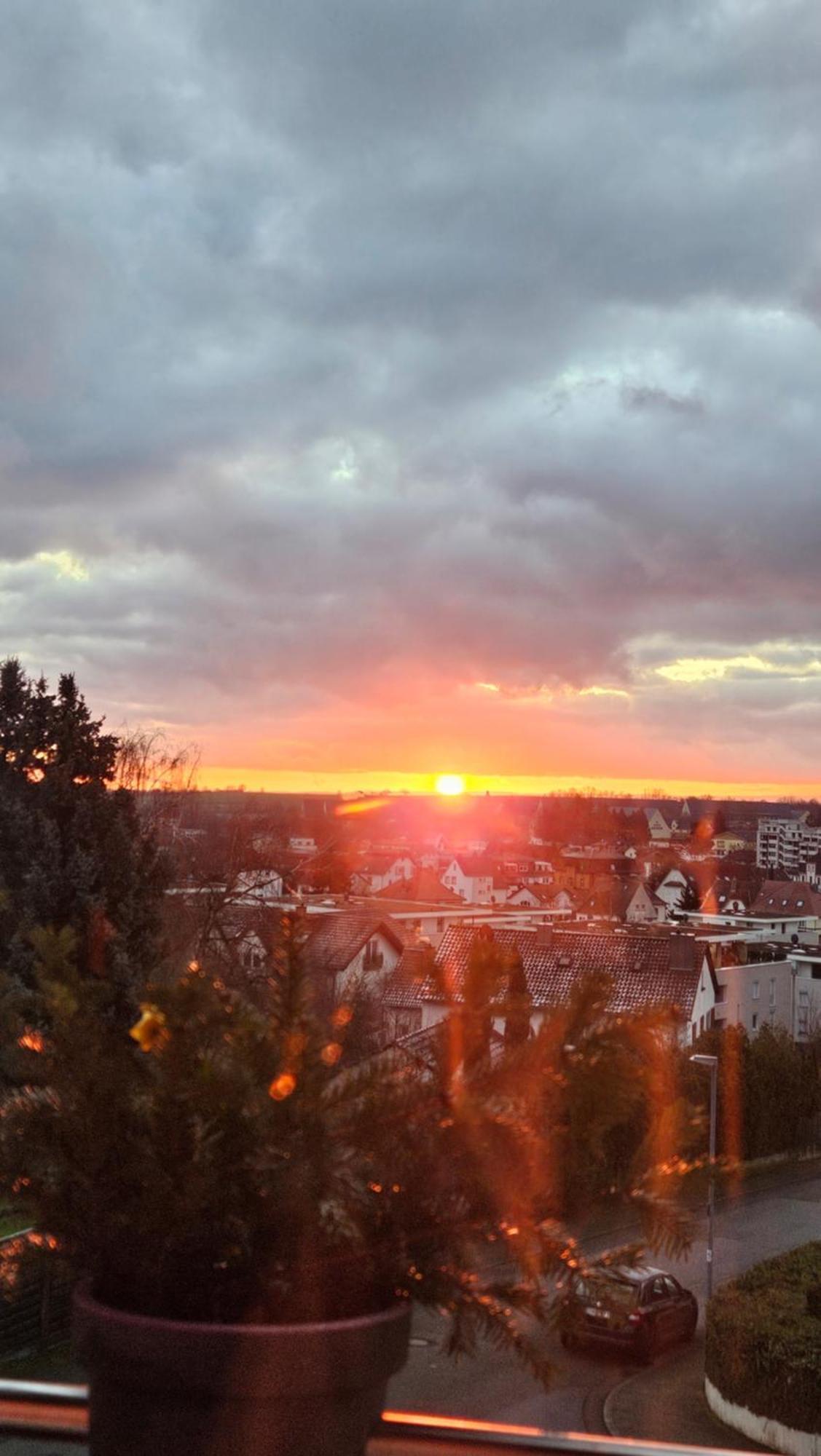 Appartement An Der Weinstrasse Bad Bergzabern Eksteriør billede
